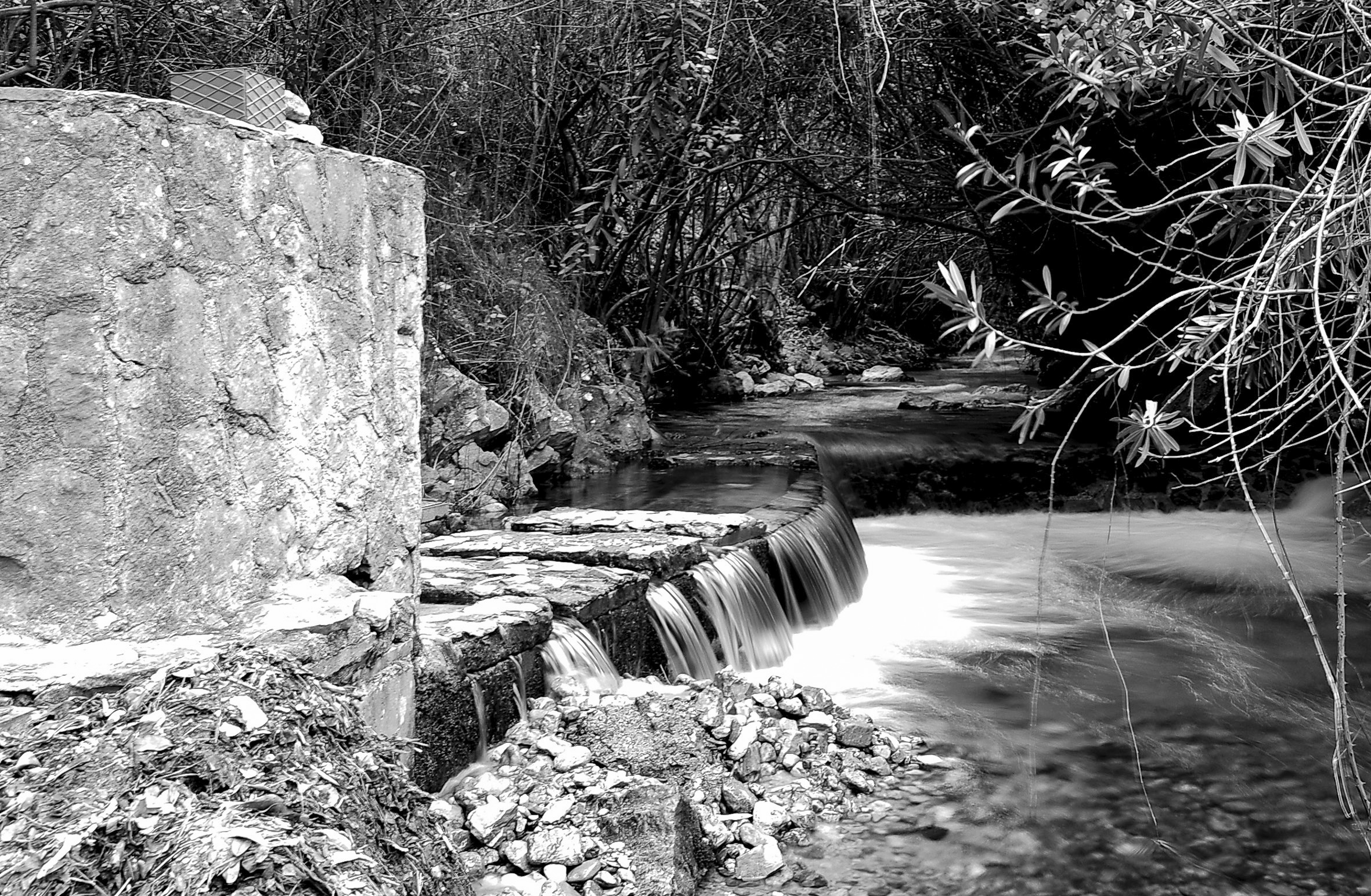 2026-03-14 SALIDA BEDMAR Y ALBANCHEZ DE MÁGINA